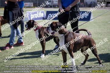 IMG_2333.jpg