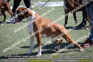 IMG_2335.jpg