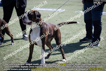 IMG_2337.jpg