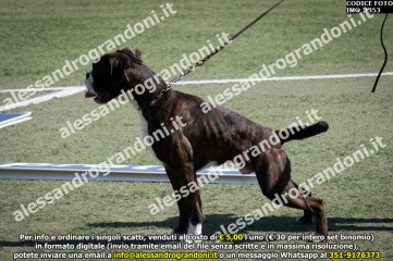 IMG_2353.jpg