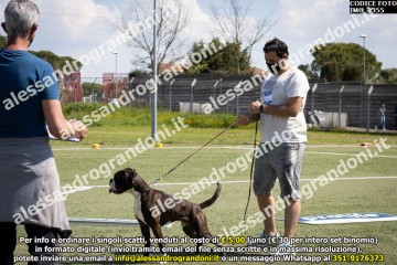 IMG_2355.jpg