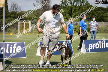 IMG_2363.jpg