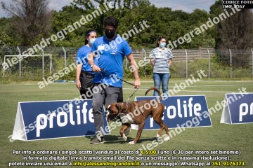 IMG_2367.jpg