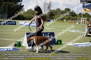 IMG_2372.jpg
