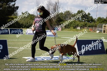 IMG_2379.jpg