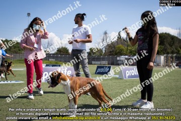 IMG_2384.jpg