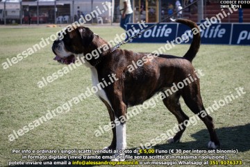 IMG_2391.jpg
