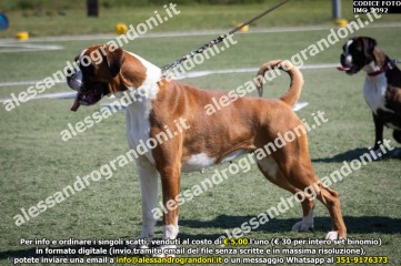 IMG_2392.jpg