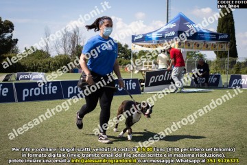 IMG_2404.jpg