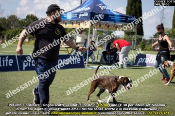 IMG_2406.jpg