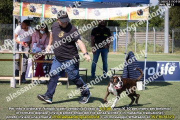 IMG_2412.jpg