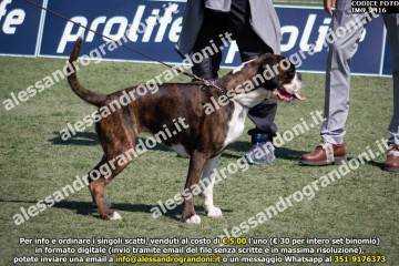 IMG_2416.jpg