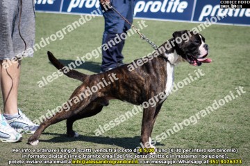IMG_2418.jpg