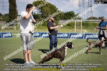 IMG_2419.jpg