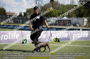 IMG_2436.jpg