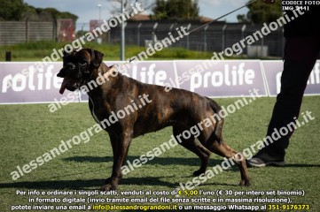 IMG_2441.jpg