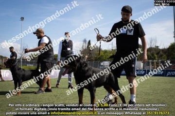 IMG_2450.jpg