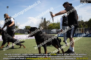 IMG_2454.jpg
