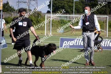 IMG_2466.jpg
