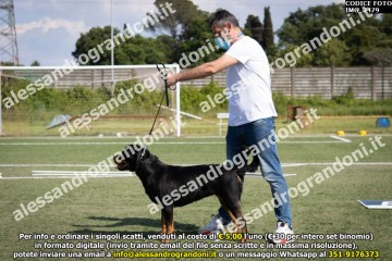 IMG_2479.jpg