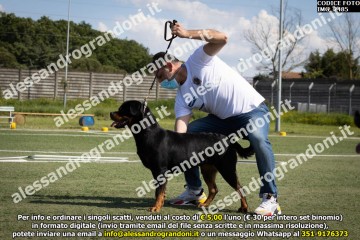 IMG_2485.jpg