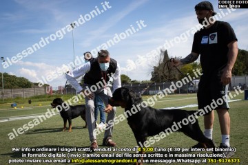 IMG_2489.jpg
