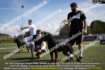 IMG_2490.jpg