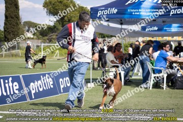 IMG_2525.jpg