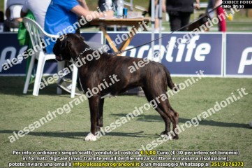 IMG_2530.jpg
