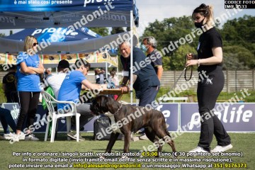 IMG_2533.jpg
