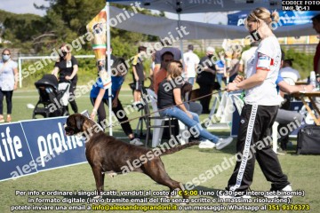 IMG_2543.jpg