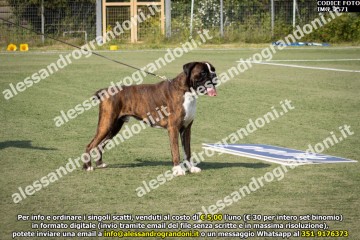 IMG_2571.jpg