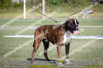 IMG_2584.jpg