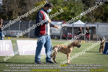 IMG_2592.jpg