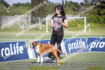 IMG_2597.jpg