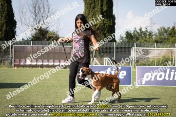 IMG_2604.jpg
