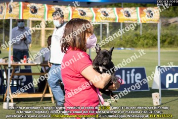 IMG_2616.jpg