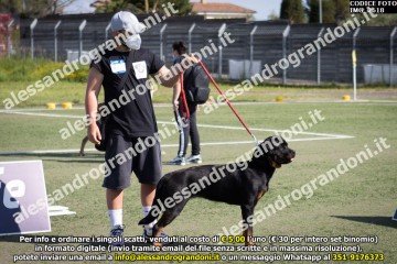 IMG_2618.jpg