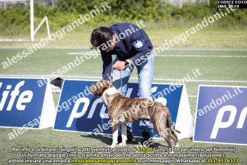 IMG_2619.jpg