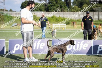 IMG_2621.jpg