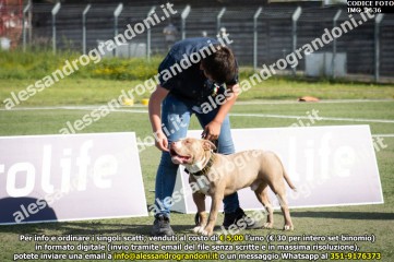 IMG_2636.jpg