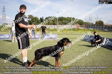IMG_2647.jpg