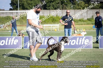 IMG_2649.jpg