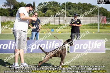 IMG_2654.jpg