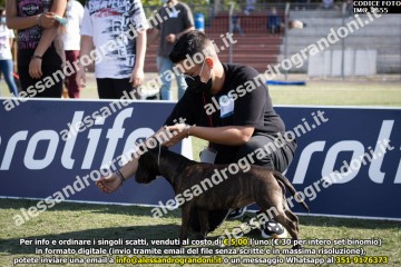 IMG_2655.jpg