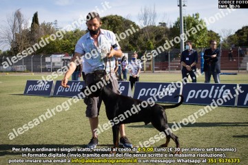 IMG_2676.jpg