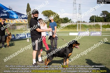 IMG_2678.jpg