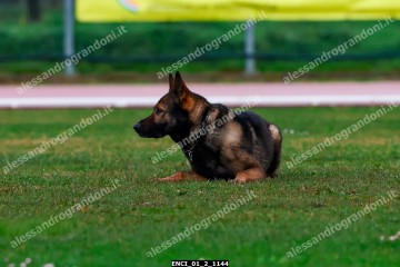 ENCI_01_2_1144.jpg