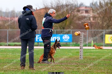 ENCI_01_2_1868.jpg