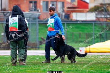 ENCI_01_2_2158.jpg